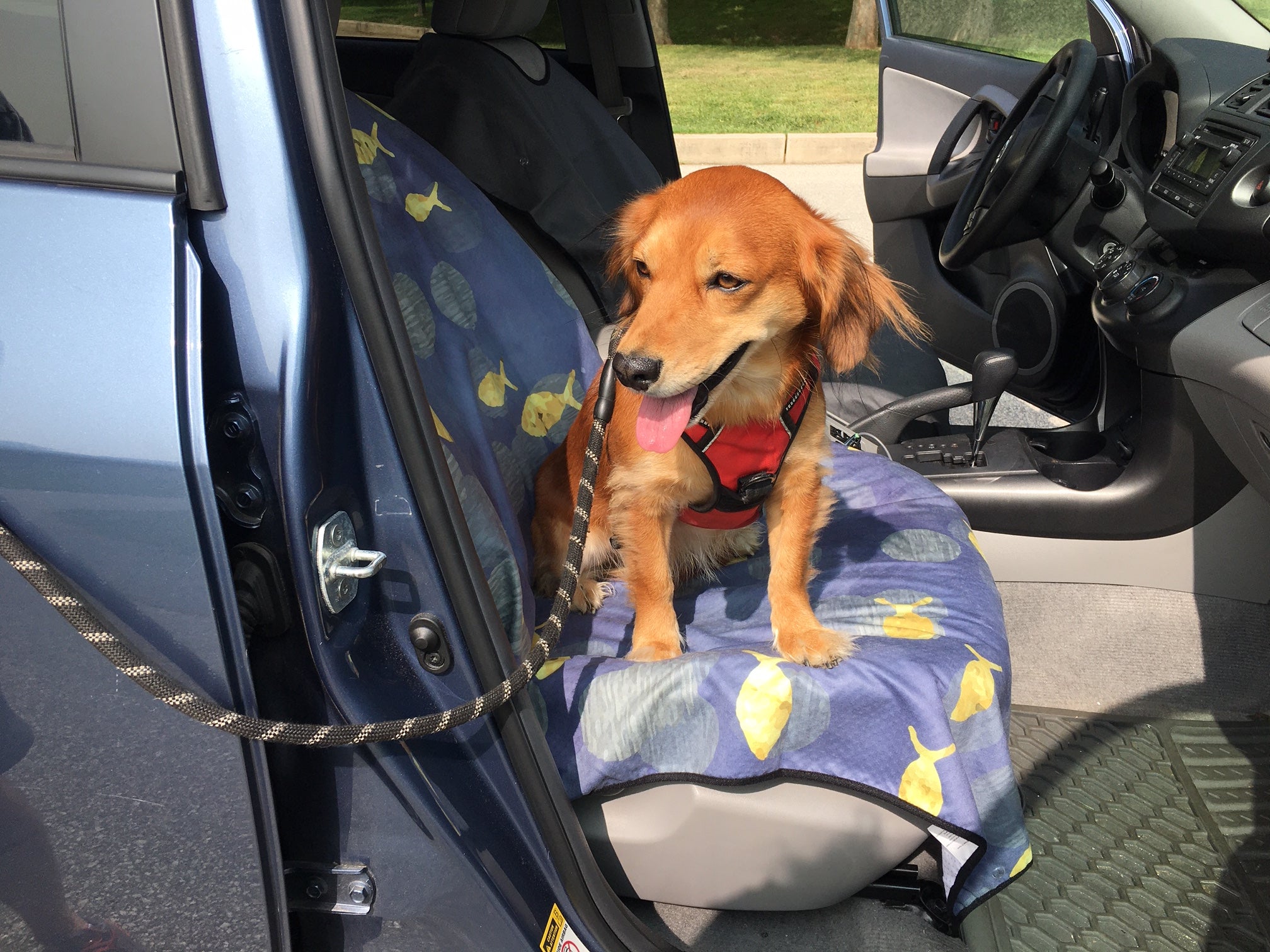 Waterproof SeatSpin Cover