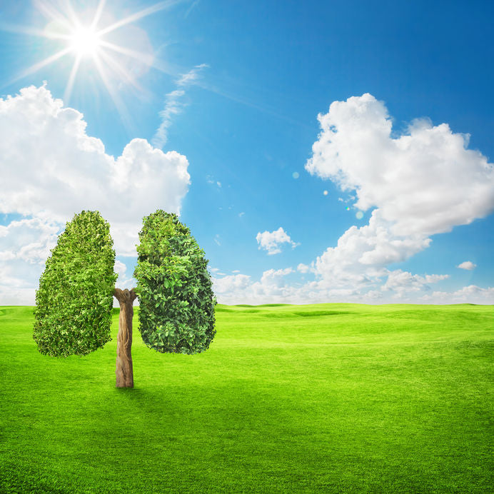 Importance of Cleaning Soft Surfaces in Covid Times